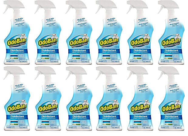 Lysol® Mold & Mildew Cleaning Remover w/ Bleach (32 oz Spray Bottles) -  Case of 12 —