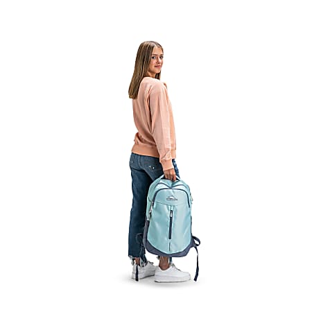 High sierra pro series travel backpack hotsell
