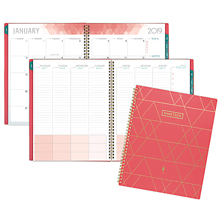 AT-A-GLANCE® inkWELL Press® Weekly/Monthly liveWELL Planner™, Classic, 8-1/2" x 11", Coral, January to December 2019