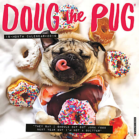 Willow Creek Press 18-Month Wall Calendar, 12" x 12", Doug The Pug, July 2018 to December 2019