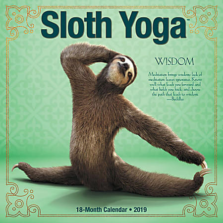 Willow Creek Press 18-Month Wall Calendar, 12" x 12", Sloth Yoga, July 2018 to December 2019