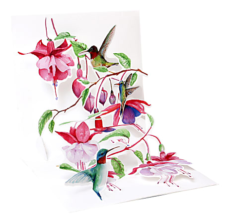 Up With Paper Everyday Pop-Up Greeting Card, 5-1/4" x 5-1/4", Hummingbirds