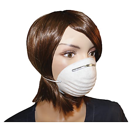 ProGuard Disposable Nontoxic Dust Mask - Disposable - Dust, Pollen Protection - Polypropylene - White - 50 / Box