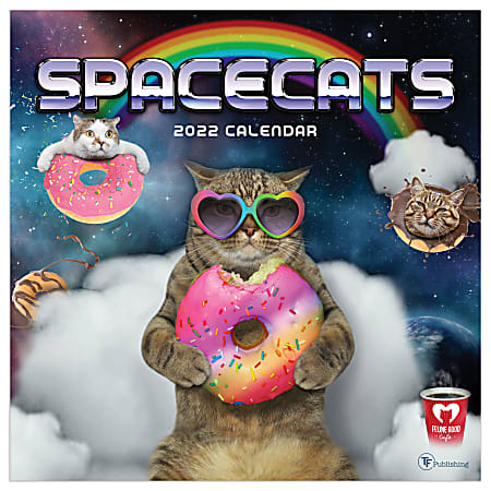 TF Publishing Humor Wall Calendar, 12" x 12", Space Cats, January To December 2022