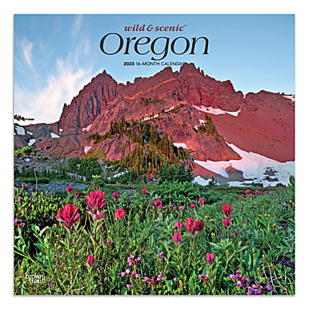 Brown Trout Monthly Wall Calendar, Oregon, 24” x 12”, January To December 2020