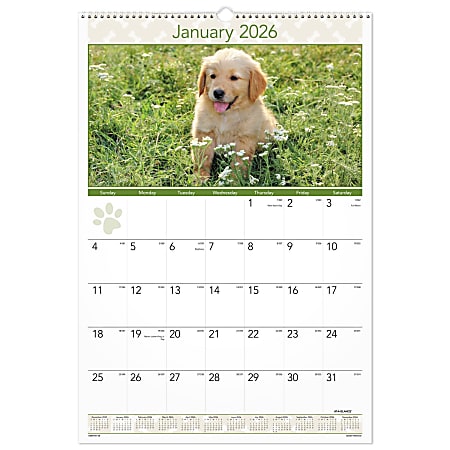AT-A-GLANCE® 2026 Puppies Monthly Wall Calendar, Large, 15 1/2" x 22 3/4"