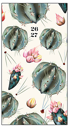 2026-2027 Willow Creek Press 2-Year Monthly Checkbook/Calendar, 3-1/2" x 6-1/2", Cactus Deco, January 2026 To December 2027, 57636