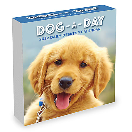 TF Publishing Animal Daily Desk Calendar, 5-1/4" x 5-1/4", Dog A Day, January To December 2022