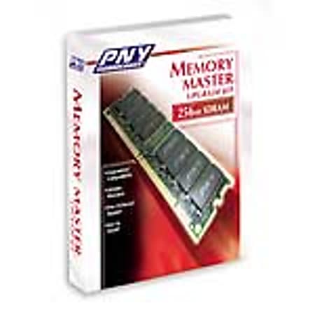 PNY SDRAM Memory Upgrade For Desktop Computers, 256MB, 100MHz/PC100
