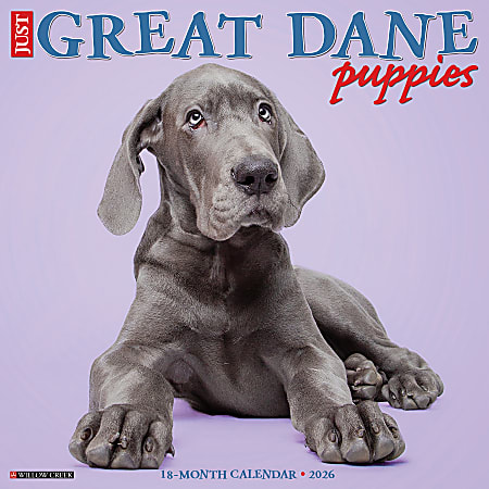 2026 Willow Creek Press Animals Monthly Wall Calendar, 12" x 12", Great Dane Puppies, January To December, 55441