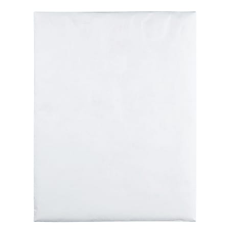 Quality Park Tyvek 12 x 15 12 Envelopes Self Adhesive White Box Of