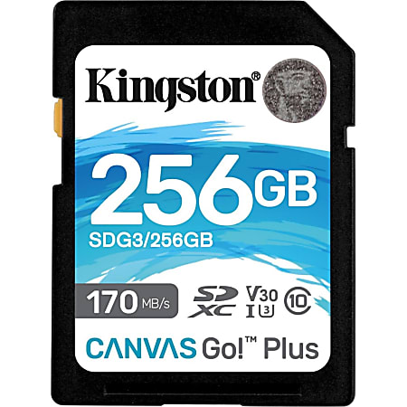 Kingston Canvas Go! Plus SDG3 256 GB Class