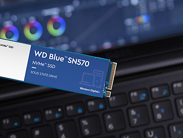 Western Digital - Disque SSD NVMe™ WD Blue SN570 500 Go - SSD