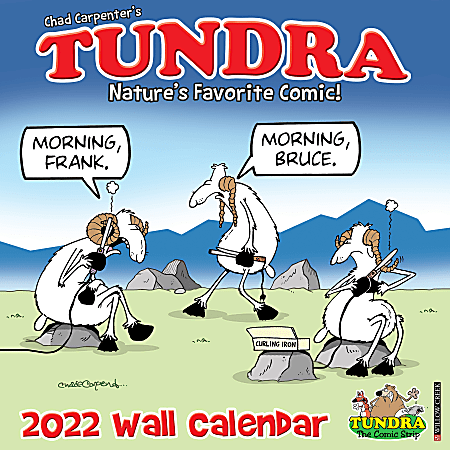 Willow Creek Press Animals Monthly Wall Calendar, 12" x 12", Tundra, January to December 2022, 19856