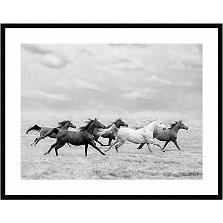 Amanti Art Horse Run I by PHBurchett Wood