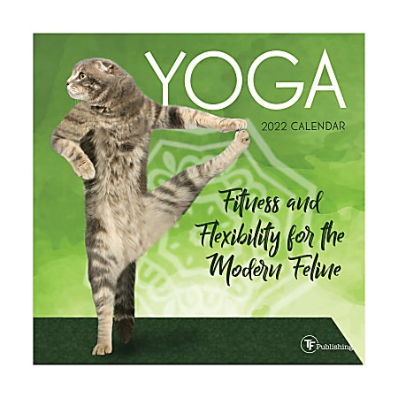 TF Publishing Humor Mini Wall Calendar, 7" x 7", Feline Yoga, January To December 2022