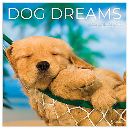 TF Publishing Animals Monthly Wall Calendar, 12" x 12", Dog Dreams, January to December 2022, 1016
