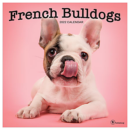 TF Publishing Animals Monthly Wall Calendar, 12" x 12", French Bulldogs, January to December 2022, 1031