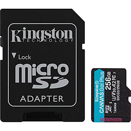 Kingston Canvas Go! Plus SDCG3 256 GB Class
