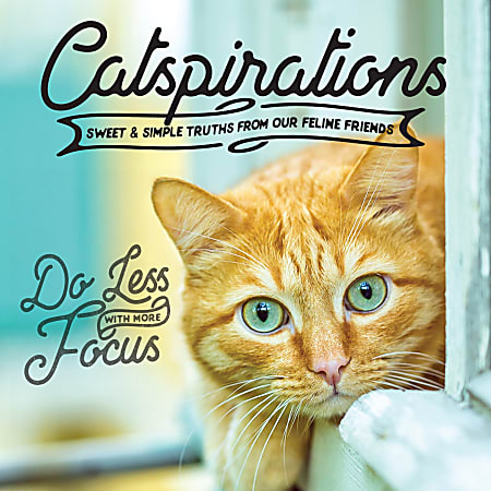 Willow Creek Press 5-1/2" x 5-1/2" Hardcover Gift Book, Catspirations