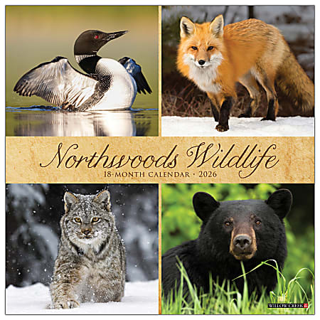 2026 Willow Creek Press Scenic Monthly Wall Calendar, 12" x 12", Northwoods Wildlife, January To December, 52204