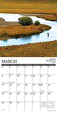 2026 Willow Creek Press Animals Monthly Wall Calendar 12 x 12 What Fly ...