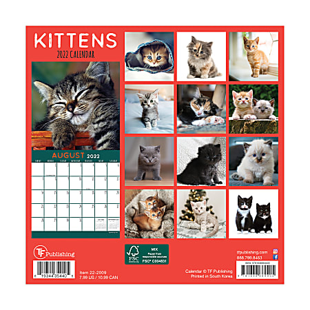 TF Publishing Monthly Mini Wall Calendar 7 x 7 Kittens January to ...