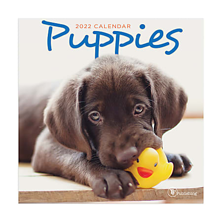 TF Publishing Monthly Mini Wall Calendar, 7" x 7", Puppies, January to December 2022, 2011