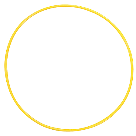 Champion Sports 24" Plastic Hoops, Assorted Colors, Pack Of 12