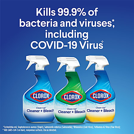 Clorox Clean Up All Purpose Cleaner with Bleach Spray Bottle Rain
