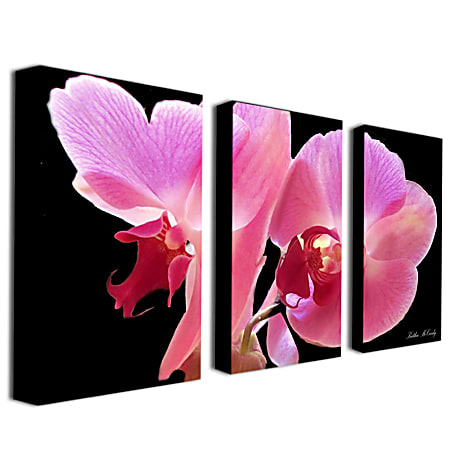 Trademark Global Orchid Gallery-Wrapped Canvas Print By Kathie McCurdy, 24"H x 42"W
