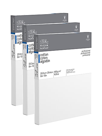Winsor & Newton Professional Cotton-Stretched Traditional Canvases, 8" x 10", White, Pack Of 2