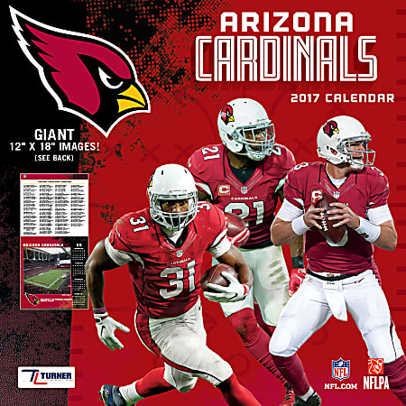 Turner Licensing® Team Wall Calendar, 12" x 12", Arizona Cardinals, January to December 2017