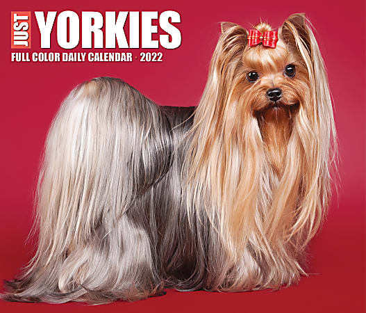 Willow Creek Press Page-A-Day Daily Desk Calendar, 5-1/2" x 6-1/4", Yorkies, January To December 2022