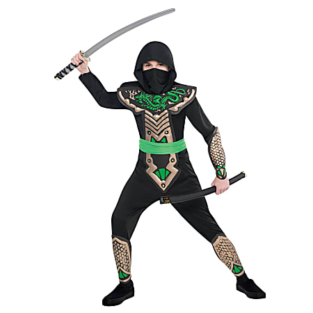 Amscan Dragon Slayer Ninja Boys' Halloween Costume, Extra-Large