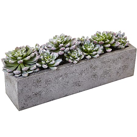 Nearly Natural Succulent 5-1/2”H Plastic Garden With Textured Concrete Planter, 5-1/2”H x 13-1/2”W x 4-1/2”D, Green
