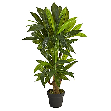 Nearly Natural Corn Stalk Dracaena 3’H Artificial Plant With Planter, 36”H x 12”W x 12”D, Green/Black
