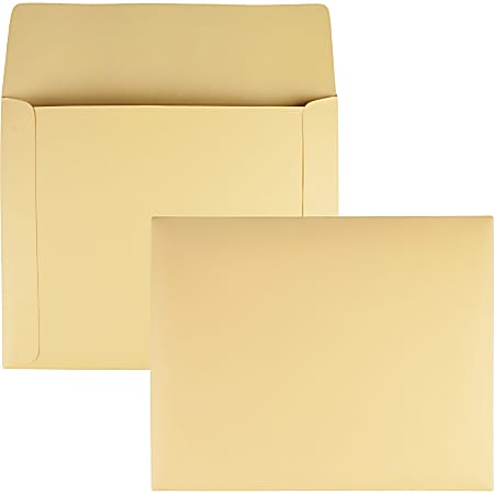 Quality Park Filing Envelopes - File - 9 1/2" Width x 11 3/4" Length - 110 lb - 100 / Box