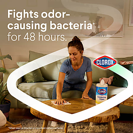 Clorox Disinfecting Cleaning Wipes Variety Pack Fresh Scent and