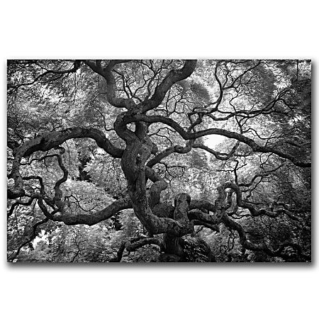 Trademark Global Motivations Gallery-Wrapped Canvas Print By Mitch "CATeyes" Catanzaro, 22"H x 32"W