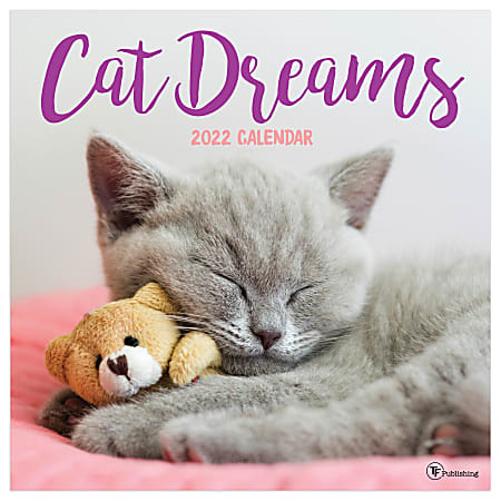 TF Publishing Animal Wall Calendar, 12" x 12", Cat Dreams, January To December 2022