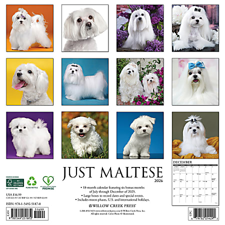 Feste Nazionali Maltesi 2026: Il CALENDARIO Delle Public Holidays