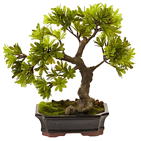 Nearly Natural Podocarpus 14”H Plastic Plant With Mossed Bonsai Planter, 14”H x 14”W x 8-1/2”D, Green