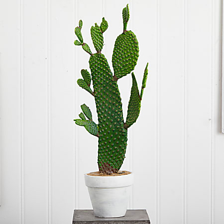 Nearly Natural Cactus 27 H Artificial Plant 27 H x 11 W x 6 D Green Office Depot