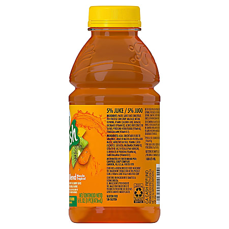 V8 splash juice hot sale