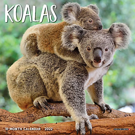Willow Creek Press Desk Pad Calendar, 17" x 12", Koala Bears, January To December 2022
