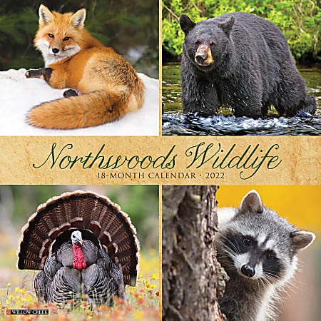 Willow Creek Press Animals Monthly Wall Calendar, 12" x 12", Northwoods Wildlife, January to December 2022, 19061