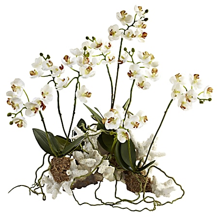 Nearly Natural Mini Phalaenopsis Orchids 14”H Plastic Plant Arrangement With Coral Base, 14”H x 13”W x 8-1/2”D, White