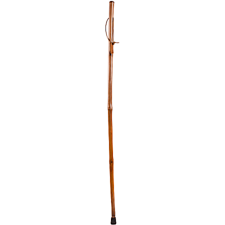 Brazos Walking Sticks™ Free Form Iron Bamboo Walking Stick, 55", Red