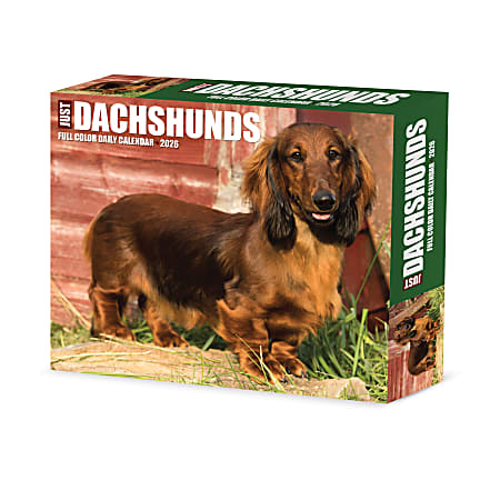 2026 Willow Creek Press Page-A-Day Daily Desk Calendar, 6-1/4" x 5-1/2", Dachshunds, January To December, 54093